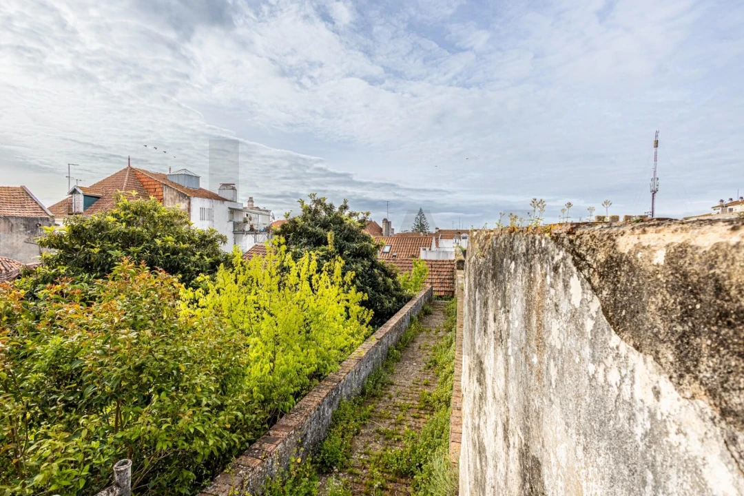 Prédio para Venda em Romeira e Várzea Foto 51