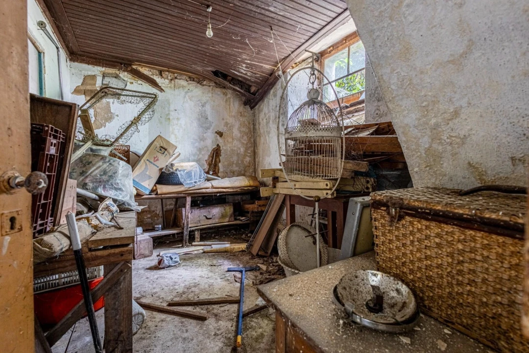 Prédio para Venda em Romeira e Várzea Foto 37