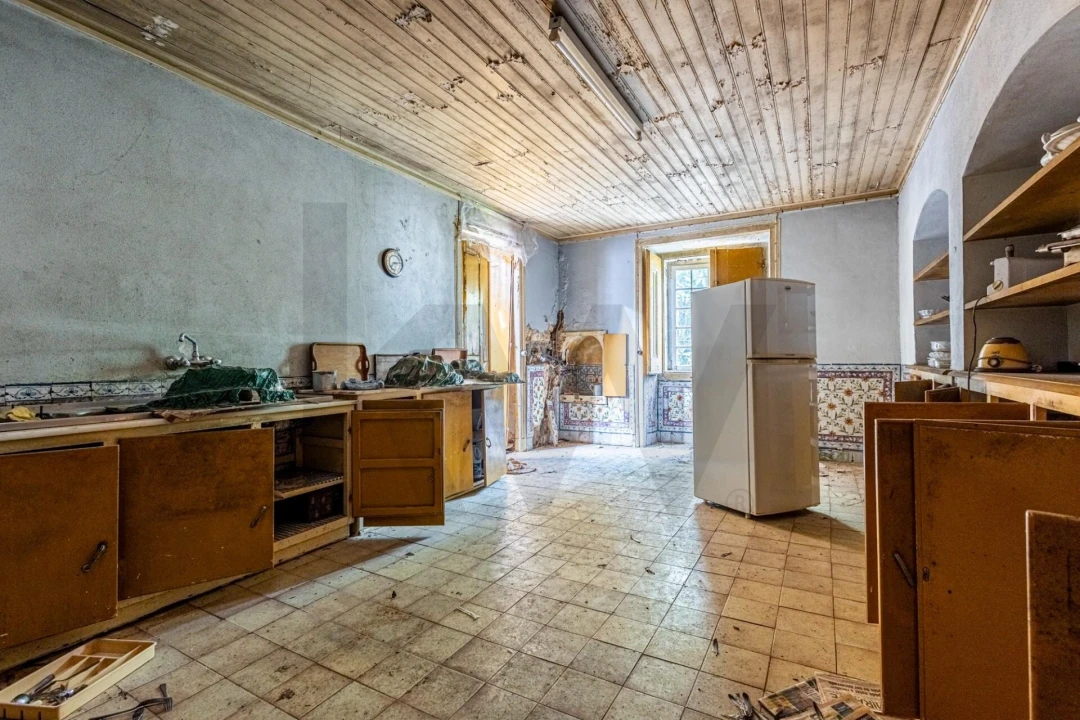 Prédio para Venda em Romeira e Várzea Foto 35
