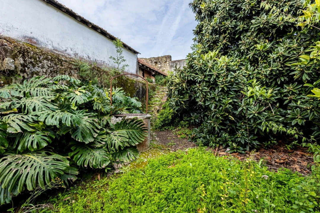 Prédio para Venda em Romeira e Várzea Foto 42