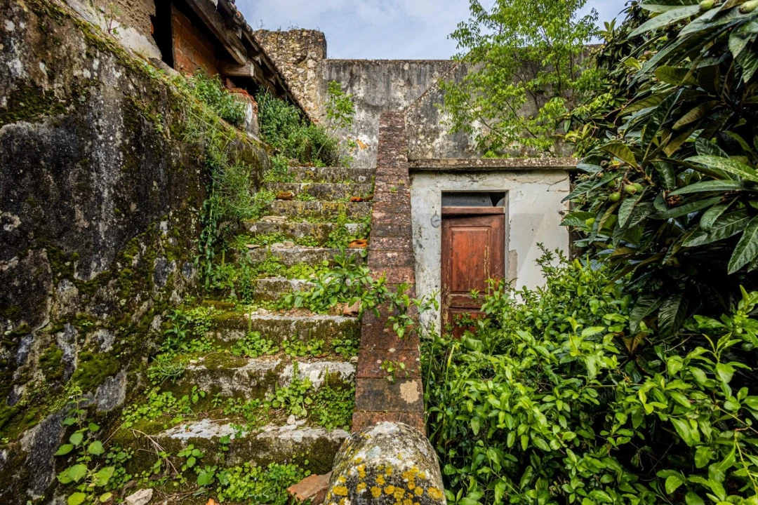 Prédio para Venda em Romeira e Várzea Foto 45
