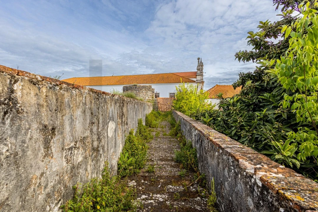 Prédio para Venda em Romeira e Várzea Foto 47