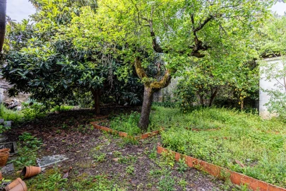 Prédio para Venda em Romeira e Várzea