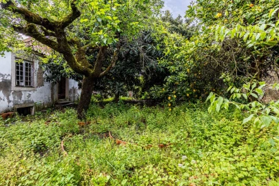 Prédio para Venda em Romeira e Várzea