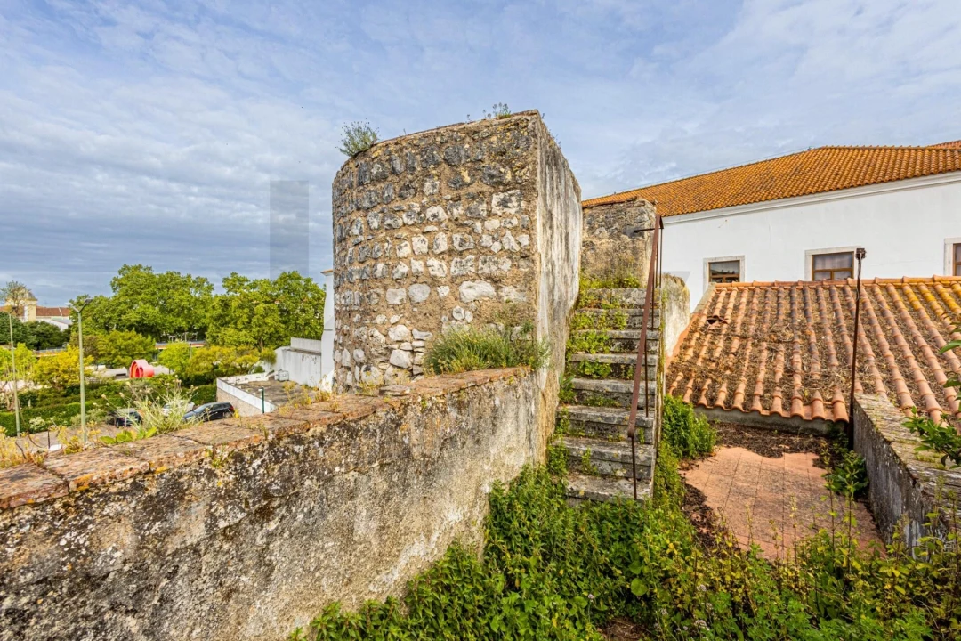 Prédio para Venda em Romeira e Várzea Foto 48