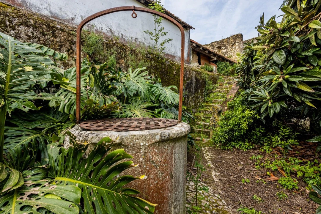 Prédio para Venda em Romeira e Várzea Foto 44
