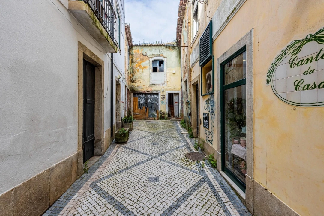 Prédio para Venda em Romeira e Várzea Foto 74