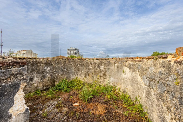 Prédio para Venda em Romeira e Várzea Foto 52