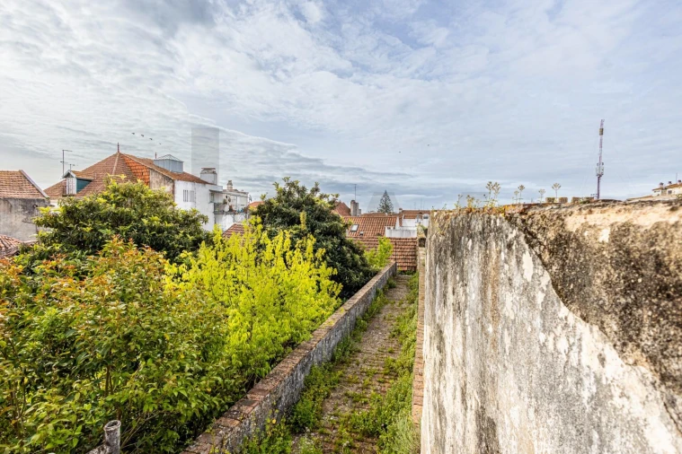 Prédio para Venda em Romeira e Várzea Foto 51