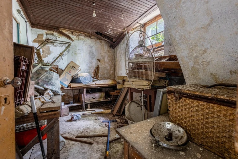 Prédio para Venda em Romeira e Várzea Foto 37