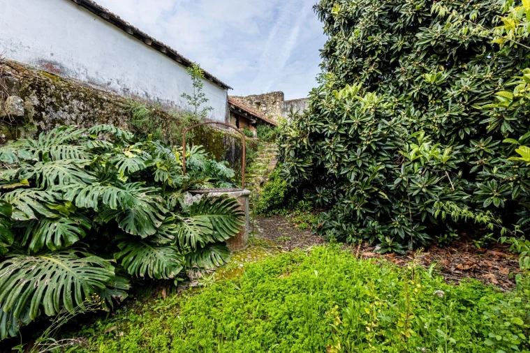 Prédio para Venda em Romeira e Várzea Foto 42