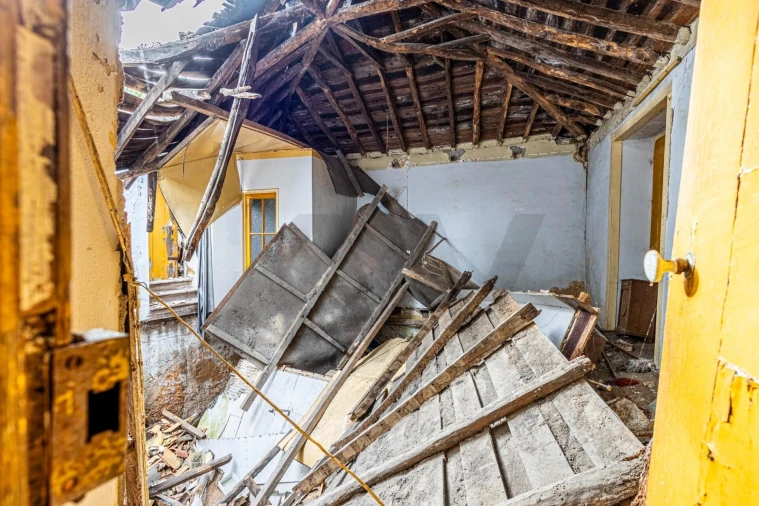 Prédio para Venda em Romeira e Várzea Foto 38