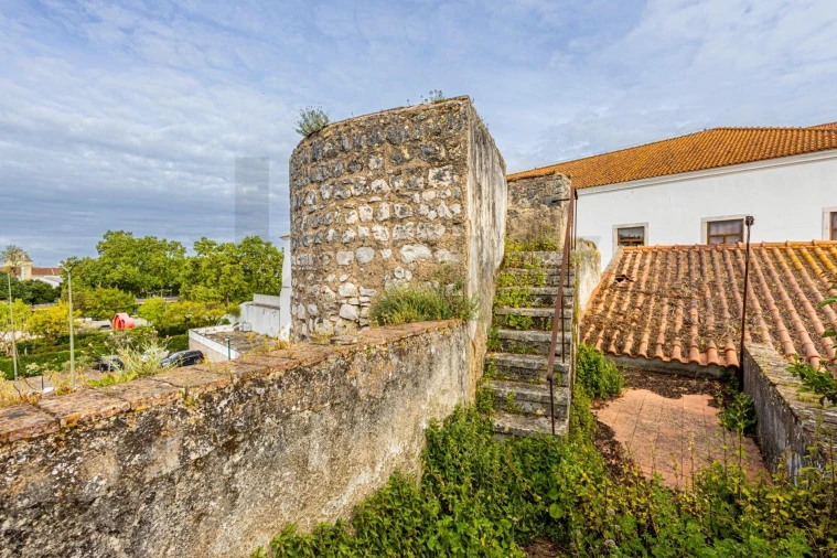 Prédio para Venda em Romeira e Várzea Foto 48
