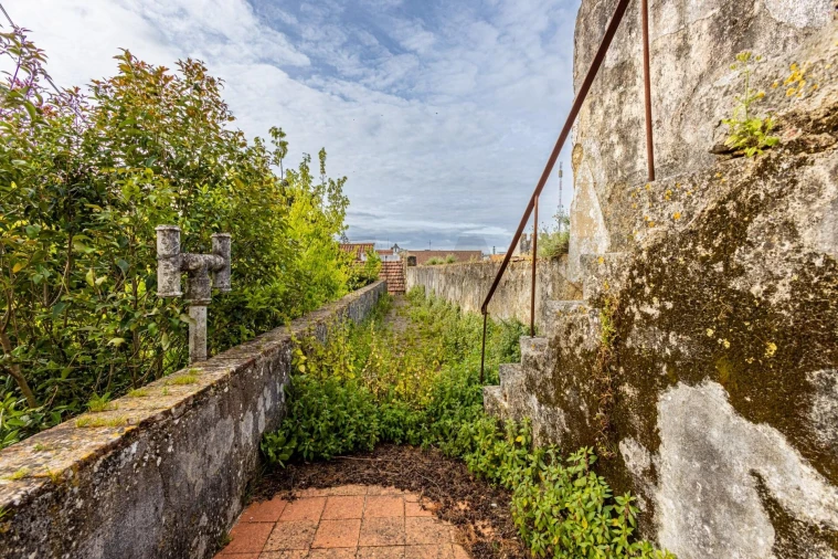 Prédio para Venda em Romeira e Várzea Foto 49