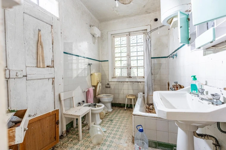 Prédio para Venda em Romeira e Várzea Foto 34