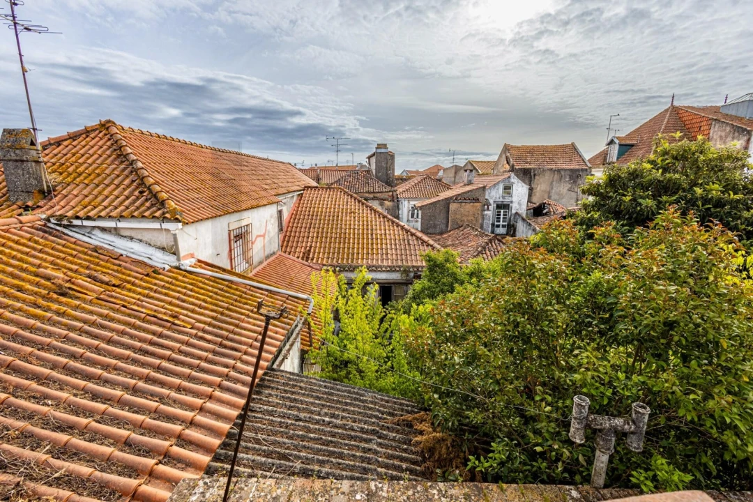 Prédio para Venda em Romeira e Várzea Foto 50