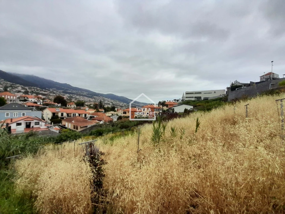 Terreno para Venda em Santo Antonio Foto 4