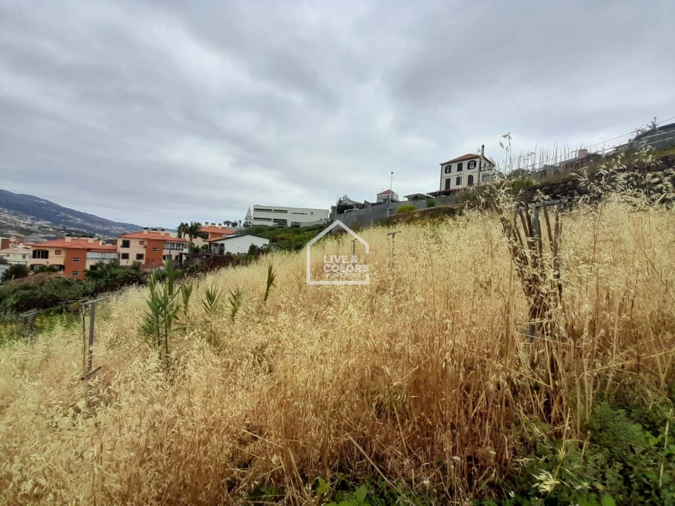 Terreno para Venda em Santo Antonio Foto 5