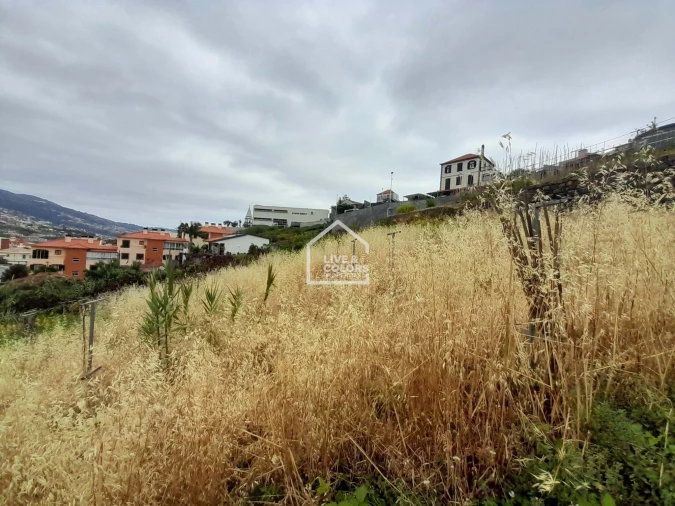 Terreno para Venda em Santo Antonio Foto 5