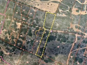 Terreno Agricola ou Rústico para Venda em São Bartolomeu de Messines