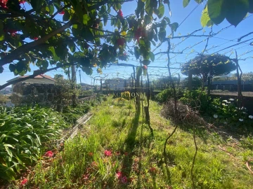Quinta T3 para Venda em São Tomé de Negrelos