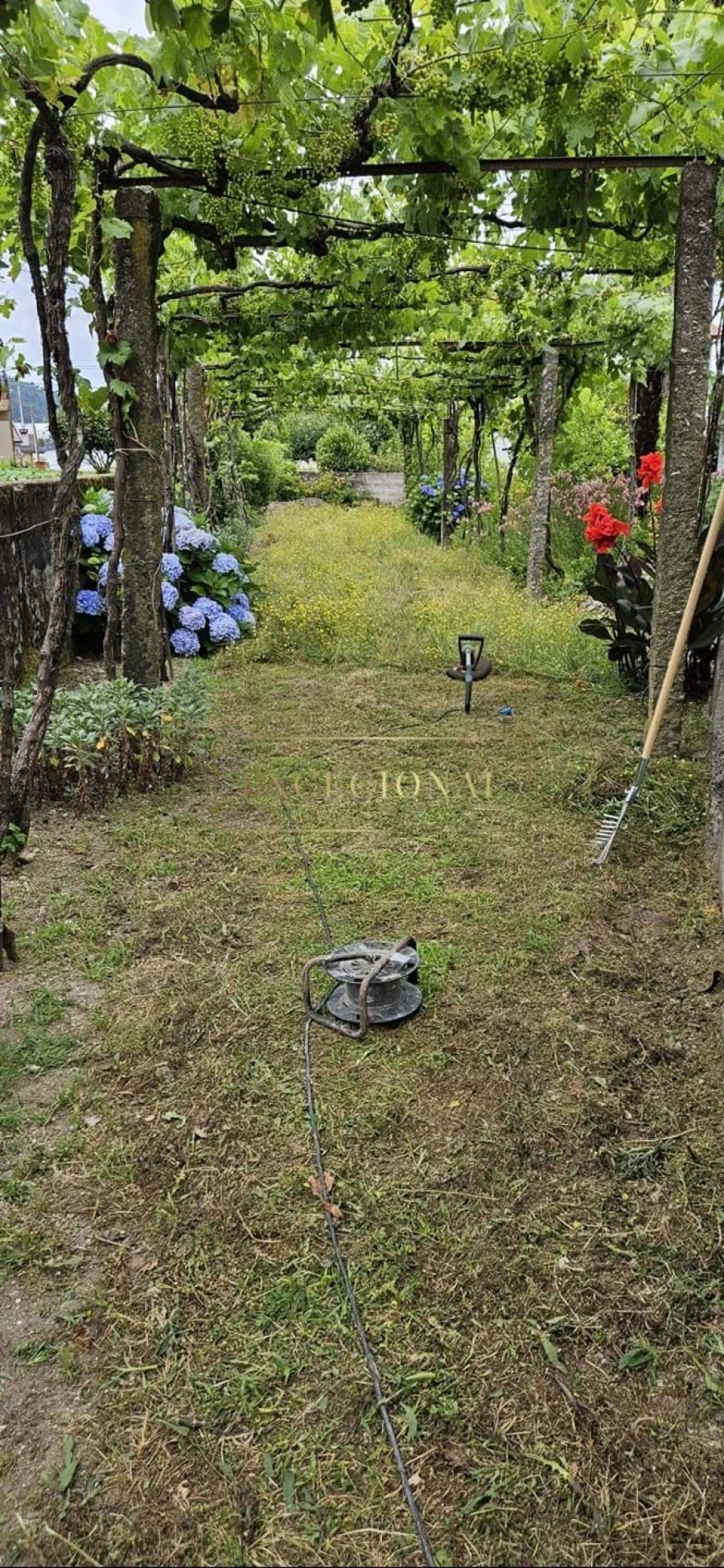 Quinta T3 para Venda em São Tomé de Negrelos Foto 2
