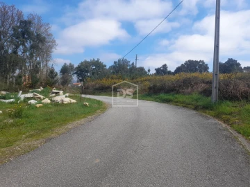 Terreno Agricola ou Rústico para Venda em Faia