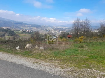 Terreno Agricola ou Rústico para Venda em Faia