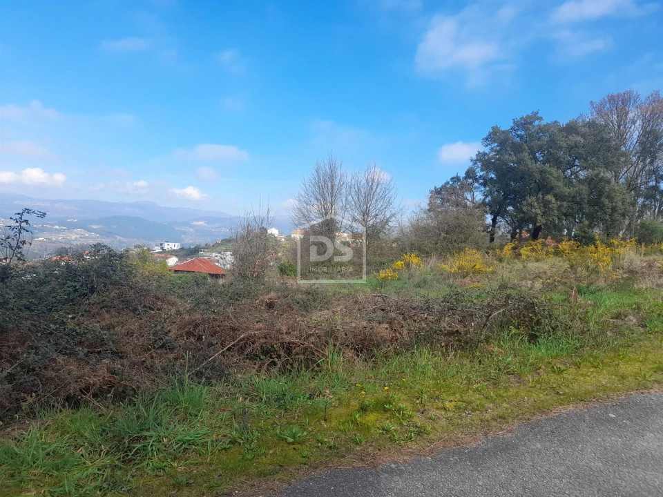 Terreno Agricola ou Rústico para Venda em Faia Foto 10