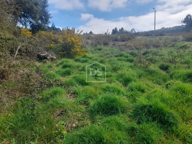 Terreno Agricola ou Rústico para Venda em Faia Foto 6
