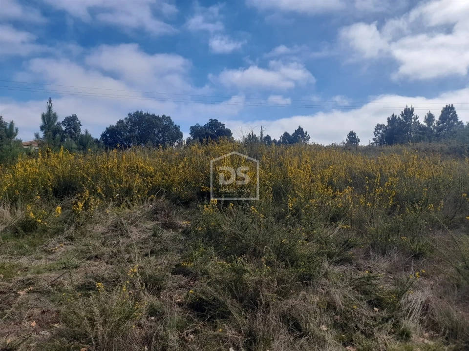 Terreno Agricola ou Rústico para Venda em Faia Foto 5