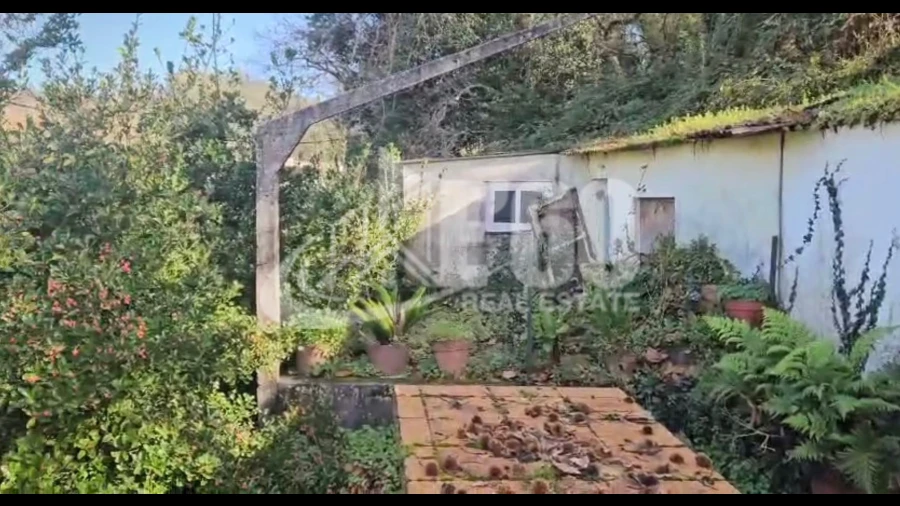 Quinta T0 para Venda em Melres e Medas