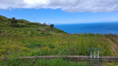 Terreno para Venda em Fajã da Ovelha