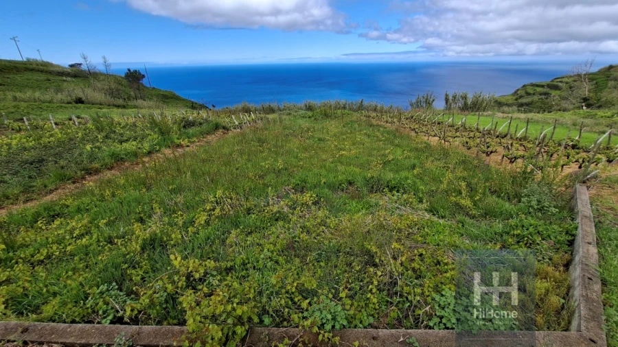 Terreno para Venda em Fajã da Ovelha Foto 7