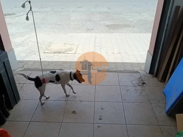 Garagem para Venda em Vila Real de Santo Antonio