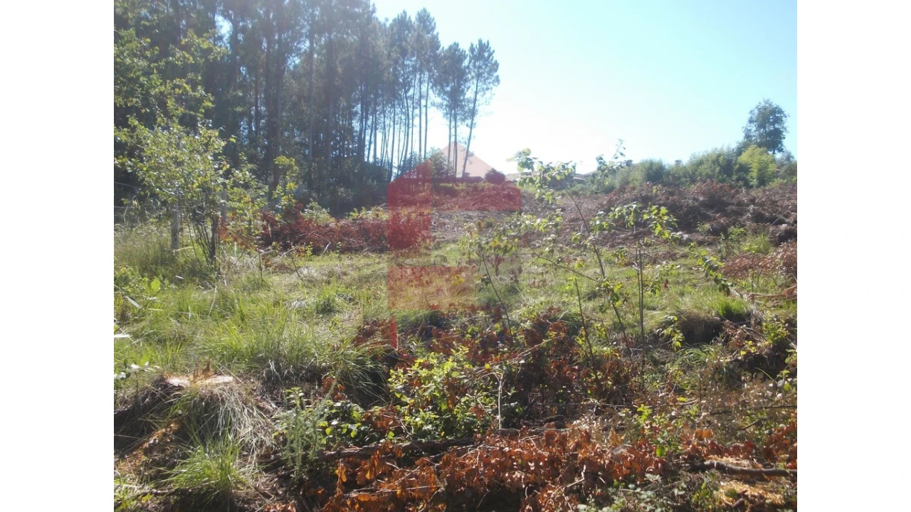 Terreno para Venda em Oleiros Foto 5