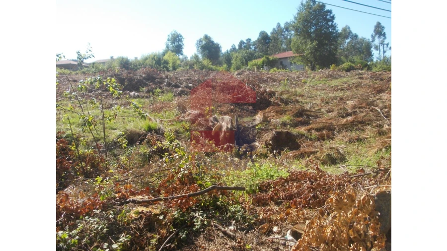 Terreno para Venda em Oleiros Foto 3