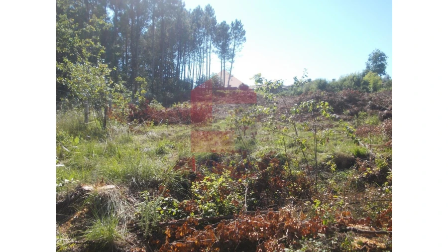 Terreno para Venda em Oleiros Foto 5