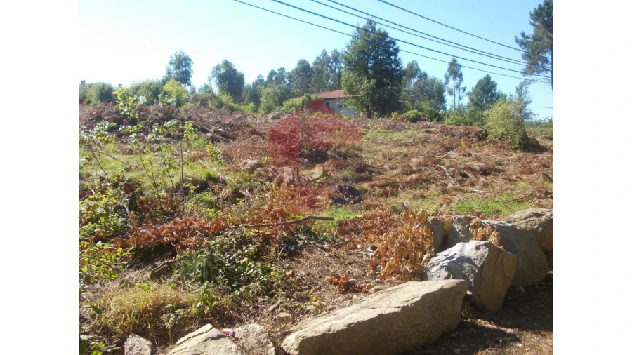 Terreno para Venda em Oleiros Foto 7