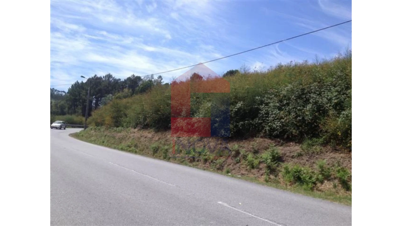 Terreno para Venda em Escariz (São Mamede) e Escariz (São Martinho) Foto 1