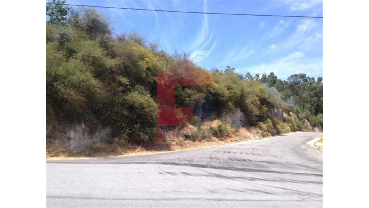 Terreno para Venda em Escariz (São Mamede) e Escariz (São Martinho) Foto 4