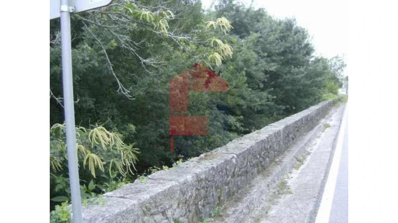 Terreno para Venda em Coucieiro Foto 5