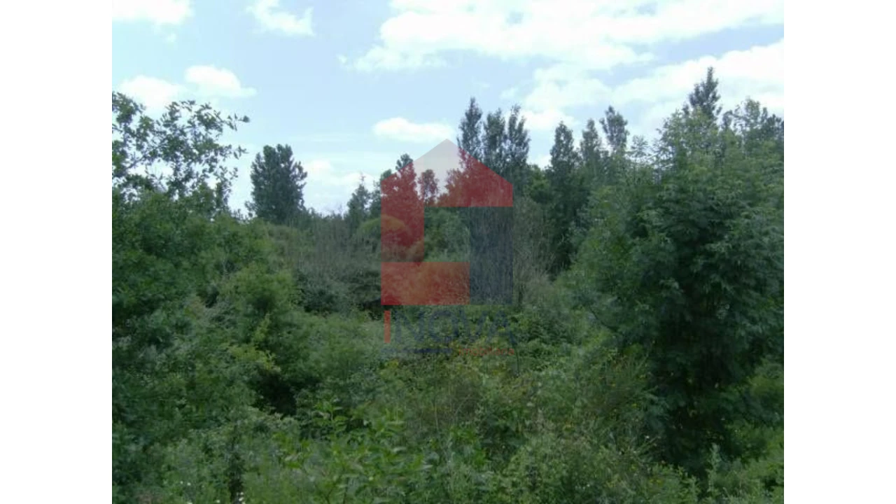 Terreno para Venda em Coucieiro Foto 3