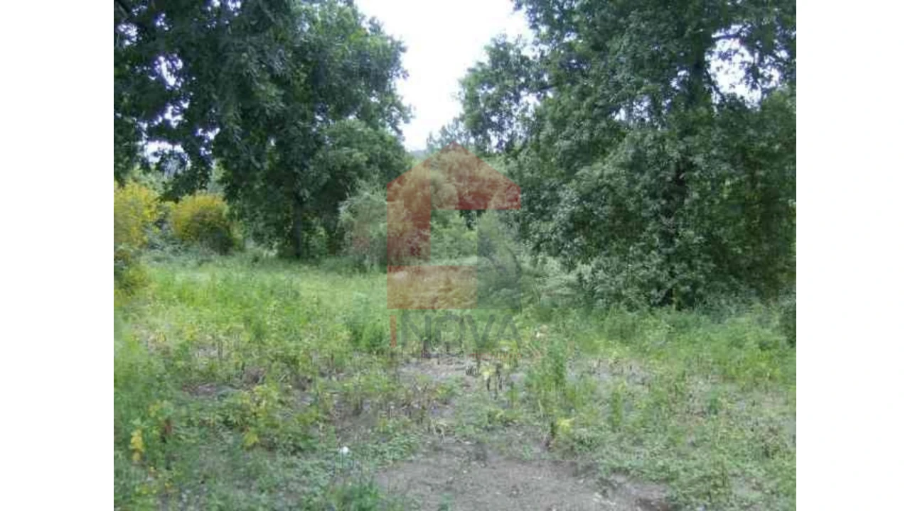 Terreno para Venda em Coucieiro Foto 2