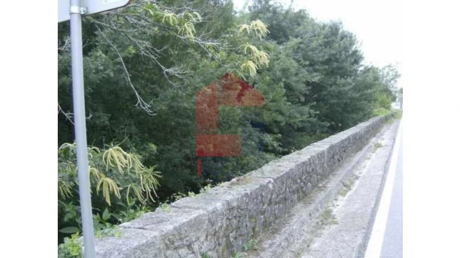 Terreno para Venda em Coucieiro Foto 5