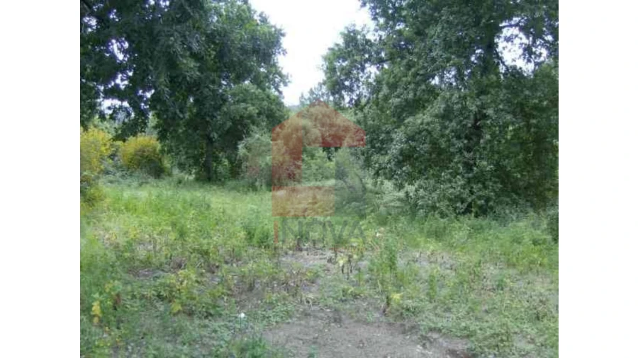 Terreno para Venda em Coucieiro Foto 2