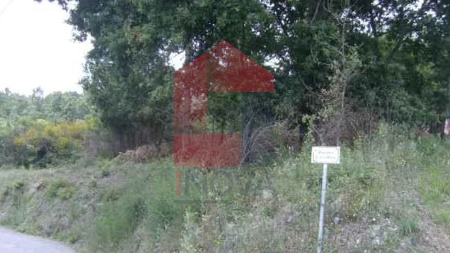 Terreno para Venda em Coucieiro