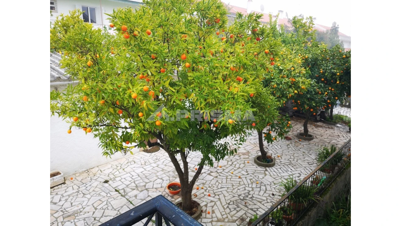 Moradia T5 para Venda em Castelo Branco Foto 15