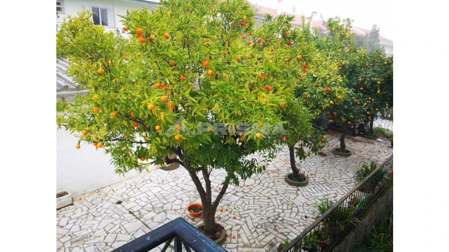 Moradia T5 para Venda em Castelo Branco Foto 15