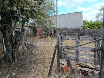 Terreno para Venda em Alagoa